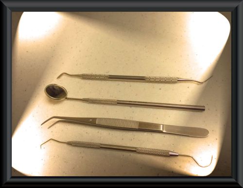 4 PC  Dental Tartar Calculus Plaque Remover Tooth Scraper, Mirror,Scaler Set