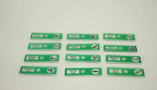 12pcs Green plant Prepared Microscope Slides Biological Specimen