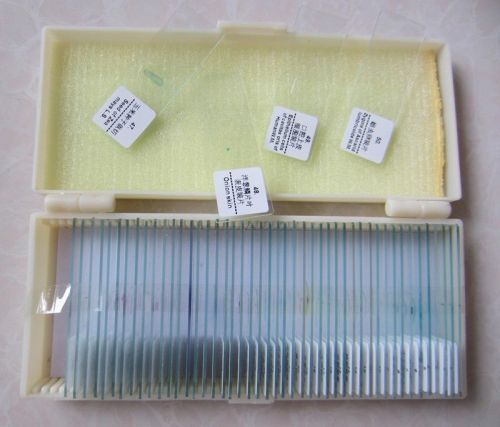 50pcs lab bio-microscope glass prepared microscope slides specimen for students for sale