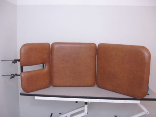 Massage physical therapy chiropractic padded table top for sale