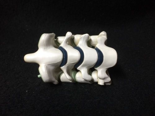 4 Cervical Vertebrae Spine Anatomical Teaching Model without base