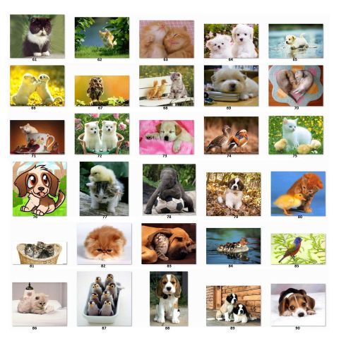 30 Square Stickers Envelope Seals Favor Tags Animals Buy 3 get 1 free (c3)