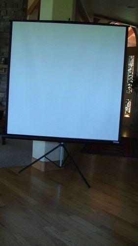 Apollo Projection Screen 60&#034;x60&#034;