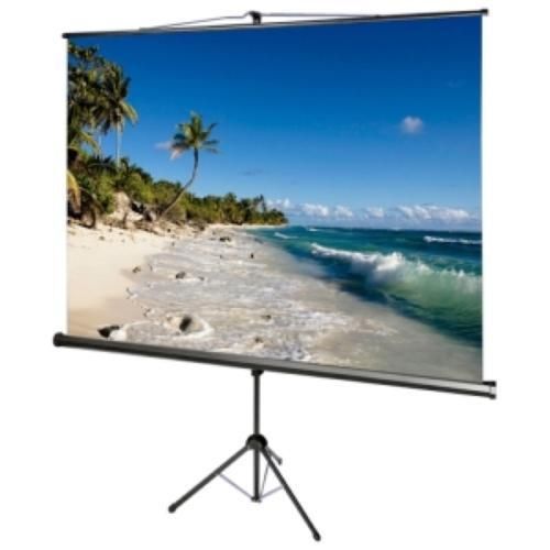 AccuScreens Tripod Screen