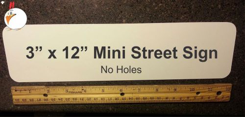 10 pc. 3&#034; X 12&#034; Mini Street Sign - WHITE ALUMINUM  SUBLIMATION BLANKS - NO HOLES