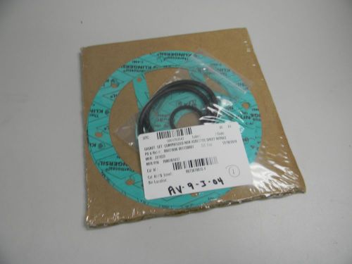 NEW THERMOSEAL KLINGERSIL GASKET SET COMPRESSED NON ASBESTOS SHEET NITRILE