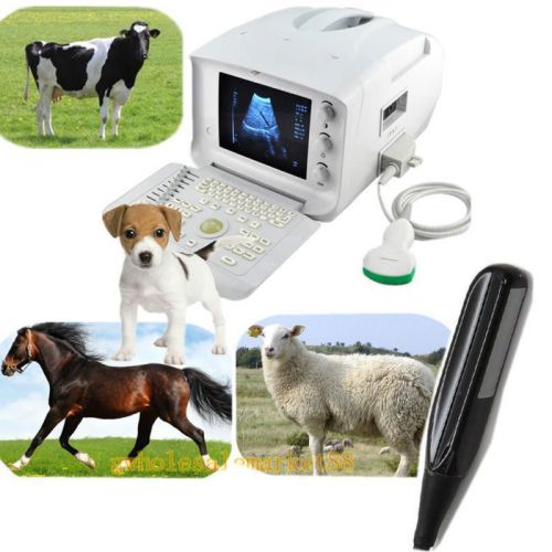 Vet Veterianry vet Ultrasound Scanner 3.5 Convex + 6.5Mhz Rectal probe animals