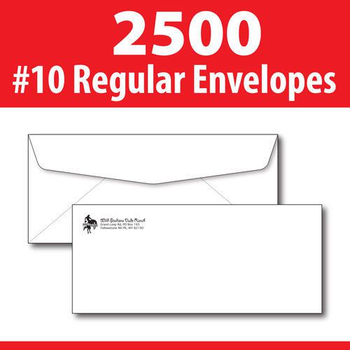 2500 Custom Printed #10 Regular Envelopes