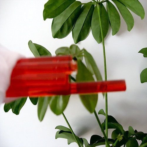 1kg(2.2 lb fusing rods bars,glass blowing color material,96 coe,clear red #n7d for sale