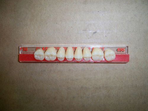 CLASSIC POSTERIOR 1X8  DENTURE TEETH UPPER!!