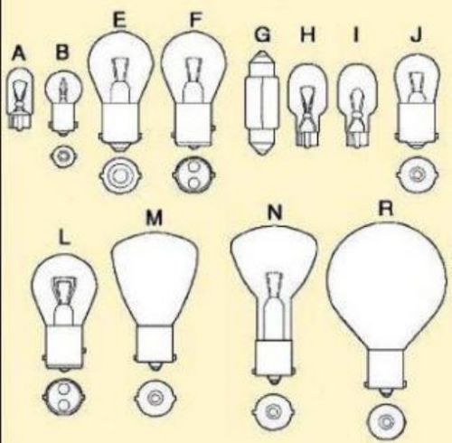 NEW Speedway 1003 Bulb