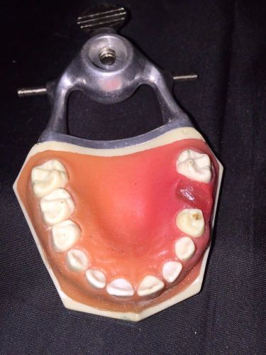 WAX SETUP DENTURE FOR EDUCATION  LOWER OR STUDY MODEL ((make an offer)))