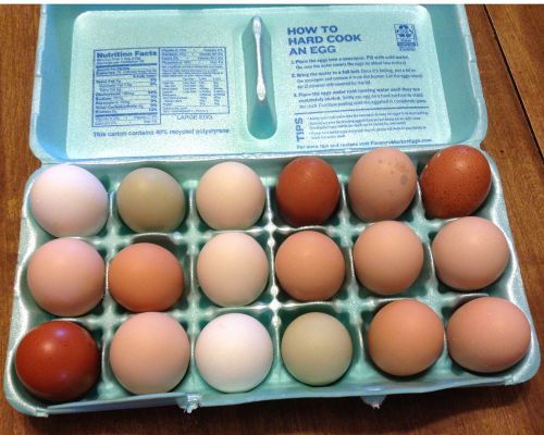 18++ assorted chicken fertile hatching eggs mixed for sale