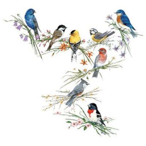 Bird Collage HEAT PRESS TRANSFER PRINT for T Shirt Sweatshirt Quilt Fabric 216o