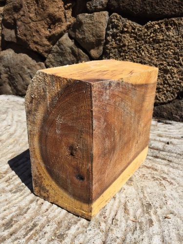 Hawaiian Monkey Pod Bowl Blank 9&#034;x8&#034;x4.5&#034; Reclaimed Tropical Wood Turning