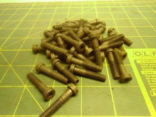 M6-1.0X30MM CLASS 10.9 LOW HEAD SOCKET CAP SCREW BOLTS (QTY 47) # J54450