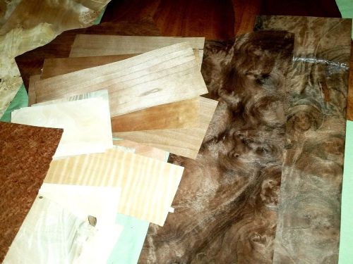 Huge 50 leaf variety pack of wood veneer, walnut burl, carpathian elm + more