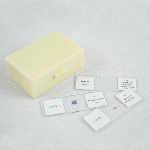 10pcs Glass Bio-microscope Prepared Basic Science Biological Microscope Slides