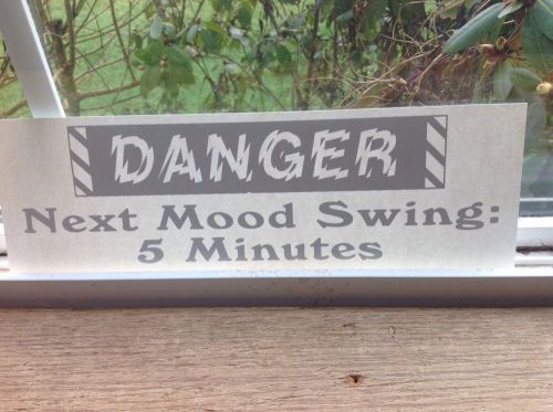 danger next mood swing 5 minutes tshirt heat transfer lot of 12