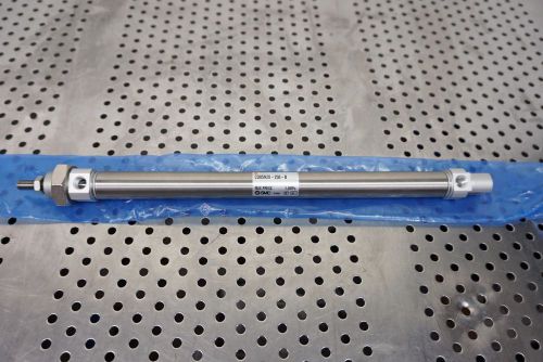 SMC CD85N20-250-B PNEUMATIC CYLINDER (NEW NO BOX)