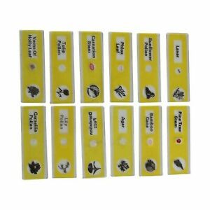 48pc Kids Plastic Prepared Microscope Slides Of Animals Insects Plants Tools NEW