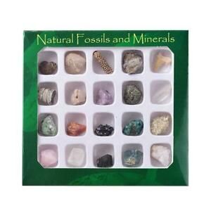 20PCS Rock Gemstones Collection Box Quartz Crystal Natural Mineral Specimen