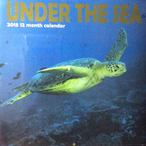 UNDER THE SEA 2015 CALENDAR 12 MONTH WALL HOME OFFICE GIFT TEACHER NEW (uts1)