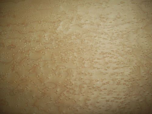 birdseye maple veneer 8 @ 13 x 20 [2711