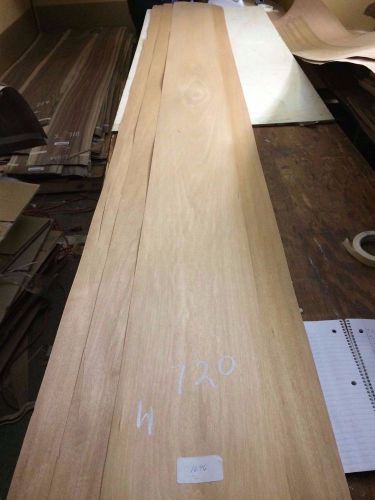 Wood Anigre African Veneer 128x10,15,15,15 , total 4 pcs RAW VENEER N720.