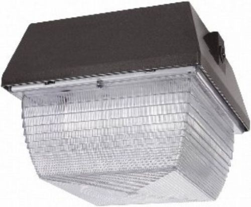 RAB Lighting VAN3S50 Vandalproof High Pressure Sodium Lamp, ED17 Type, Aluminum,