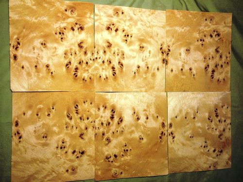 8 leafs of mappa burl @ 6.25 x 5.25 wood veneer  #v1603 for sale