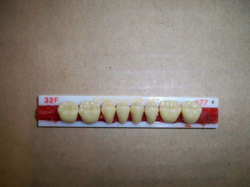 DYMON-HUE-HPT DENTURE TEETH LOWER POSTERIORS!!