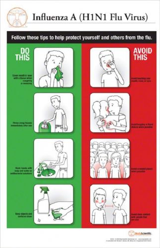 11 x 17 Post-It Disease Chart:   INFLUENZA A