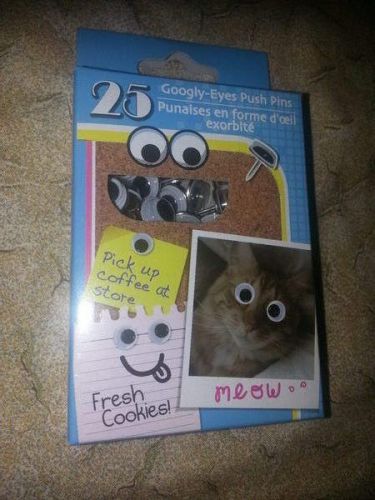 1 Box 25 GOOGLY EYE push pin thumb tack bulletin board eyeball thumbtack pushpin