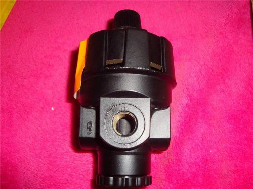 NORGEN R24-200-RGLA PRESSURE REGULATOR 300 PSIG