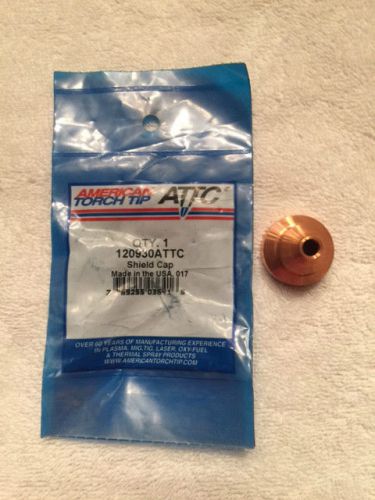 American Torch Tip #120930  Gouging Shield (1 per package)