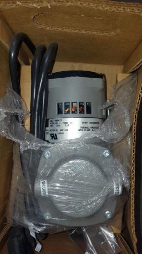 Cole Plamer model L-79200 vacuum pump 110 Volt