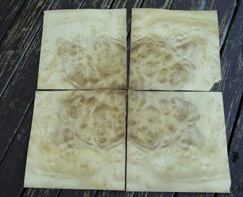 4 buckled consec. pieces of raw Oregon Myrtlewood burl veneer 10.7&#034; x 11&#034; wood