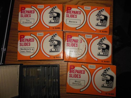 Prepared Slides Vintage Sears Roebuck &amp; Co 5 Boxes Plus a Bonus Box!