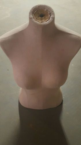 Victoria&#039;s Secret Nude Bra Panty Torso Mannequins Pink Store