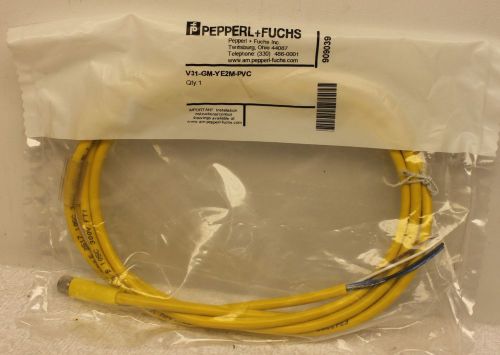 Pepperl + Fuchs V31-GM-YE2M-PVC Cordset Cabe **FACTORY SEALED** V31GMYE2MPVC