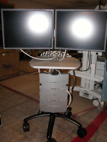 2 eizo eizo flexscan s2100 21.3&#034; high end lcd monitors w/ anthro mobile cart for sale