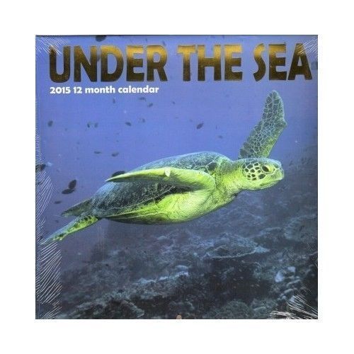 Wall Calendar 2015  Under The Sea-Vibrant full-color photographs