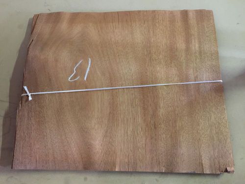 Wood Veneer Mahogany 18x17 20pcs total Raw Veneer  &#034;EXOTIC&#034; MAH10 5-13-15