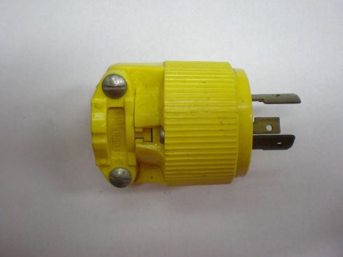 Pass and Seymour 250v grounding plug