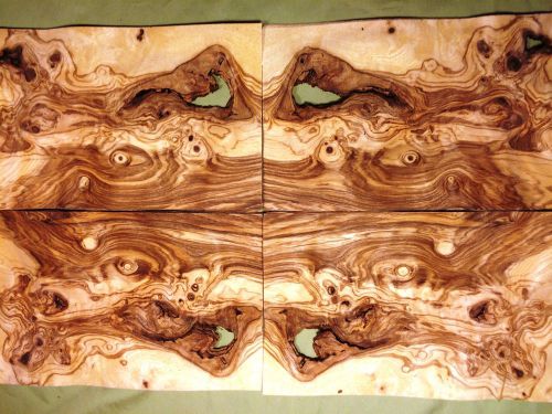 16 leafs of olive ash burl @ 10.75 x 6.25 wood veneer  #v1605 for sale