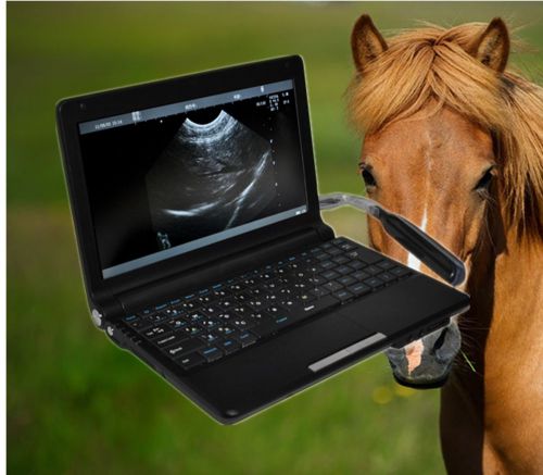 3D Veterinary Notebook Laptop Ultrasound Scanner +rectal probe For Cattle Horse