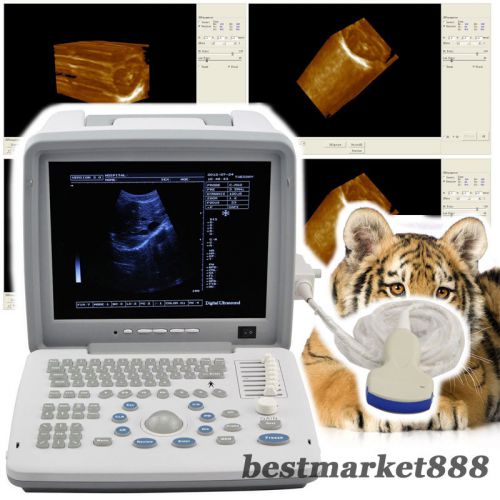 12-inch Portable Digital Ultrasound Scanner Machine 3.5MHz Convex 3D Veterinary