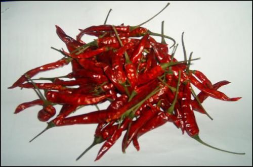 100g REID Red Hot Chili peppers : Thai Herb adding flavor Asian cuisine