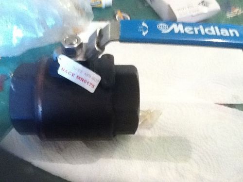 Meridian Ball Valve